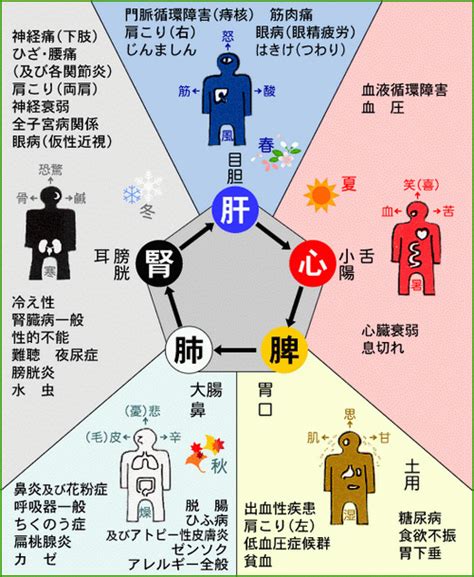 五行特質|五行人的性格和体质特点, 五行各属性的人物性格